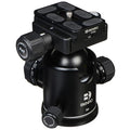 Benro B2 Double Action Ballhead