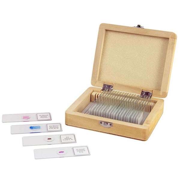 Celestron 25 Piece Prepared Microscope Slide Kit