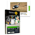 PermaJet Matt/Plus - 240gsm 7x5 100 Pack