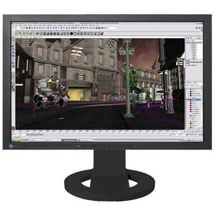 Eizo SX2462 - 24 Widescreen TFT monitor